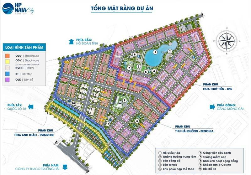Mặt bằng tại dự án HP Naia City Móng Cái