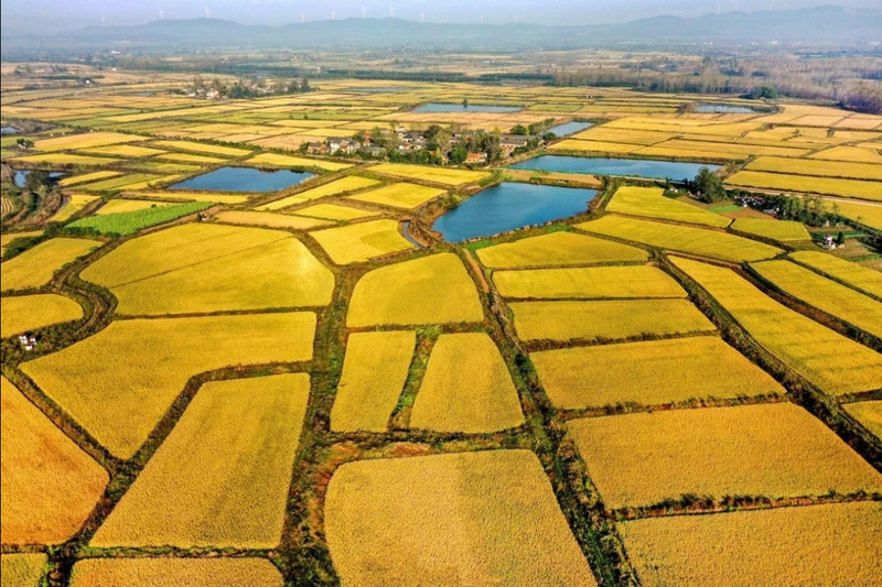 Đất nông nghiệp dự trữ phục vụ cho nhu cầu mở rộng đất nông nghiệp trong tương lai