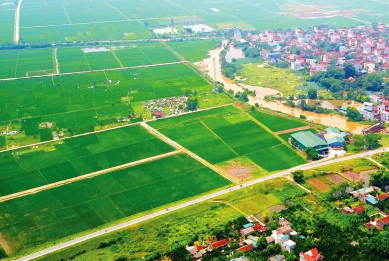 Đất nông nghiệp được sử dụng vào nhiều mục đích sản xuất khác nhau